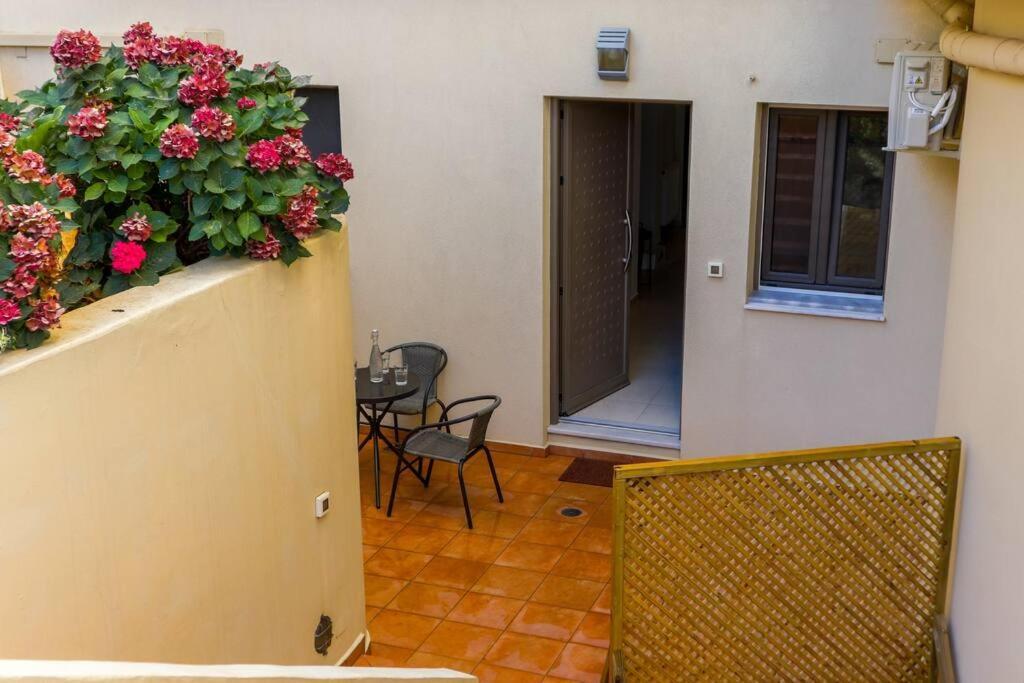 Dictamus Apartament
